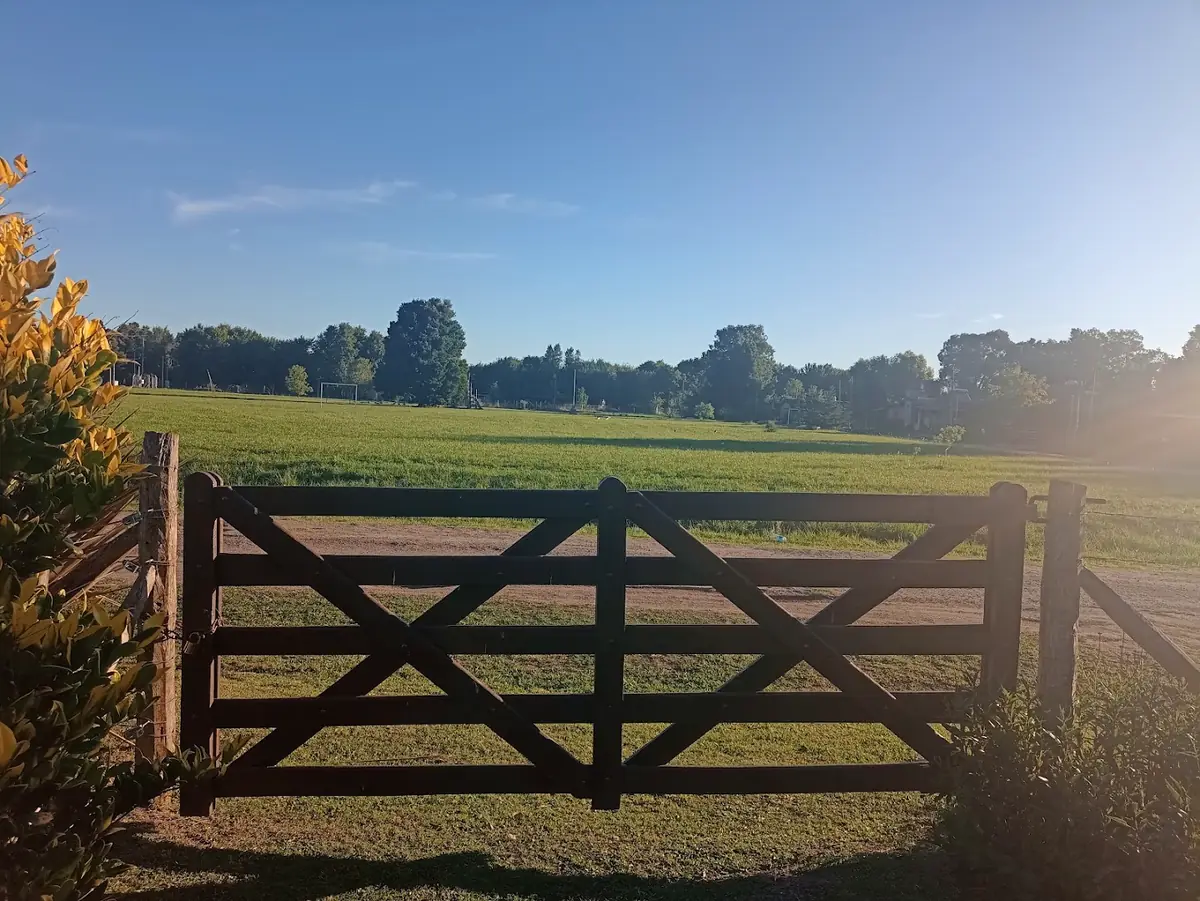 Una tranquera de madera abierta y el campo verde detrás.